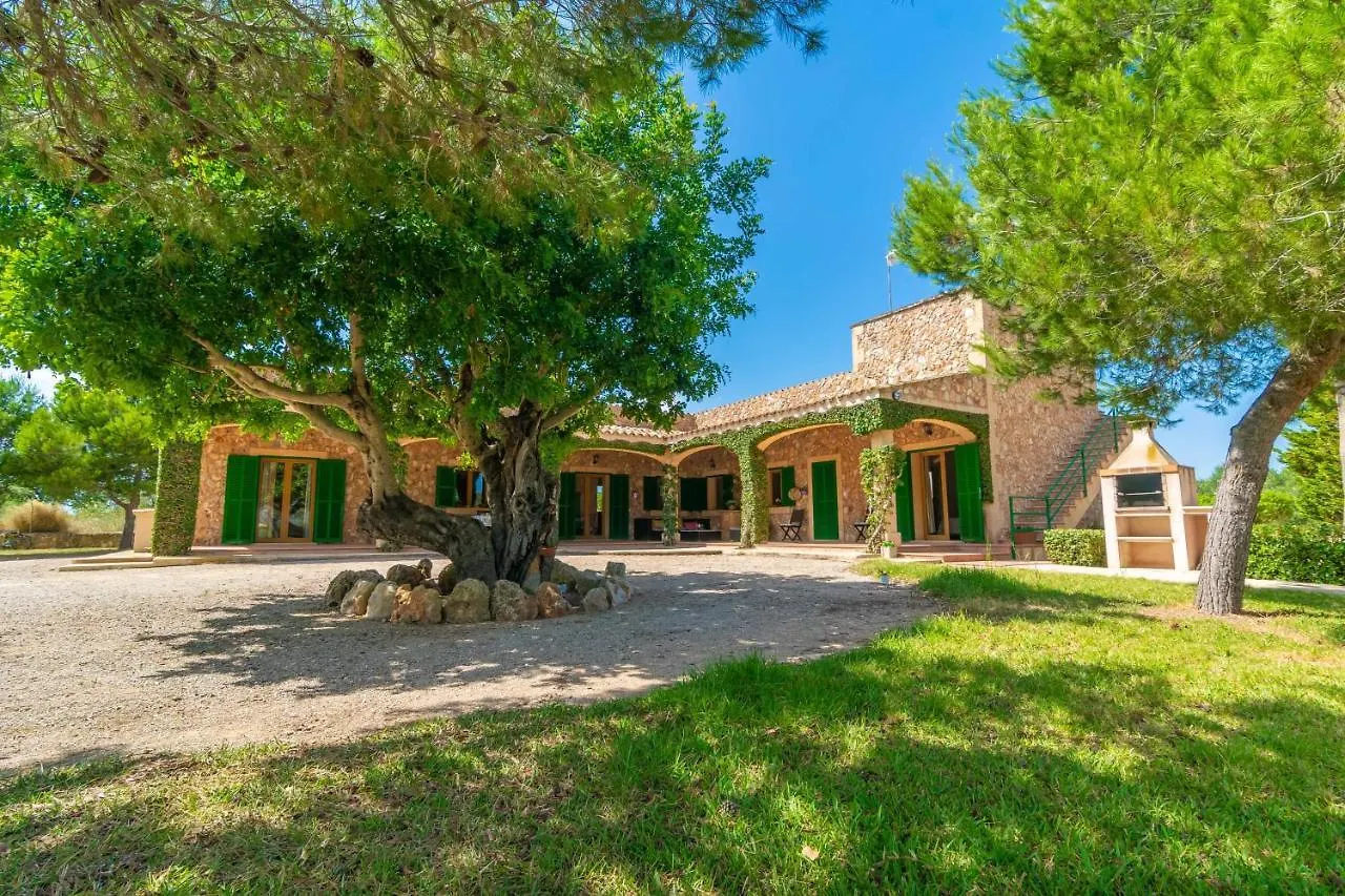 Villa Los Girasoles Campos
