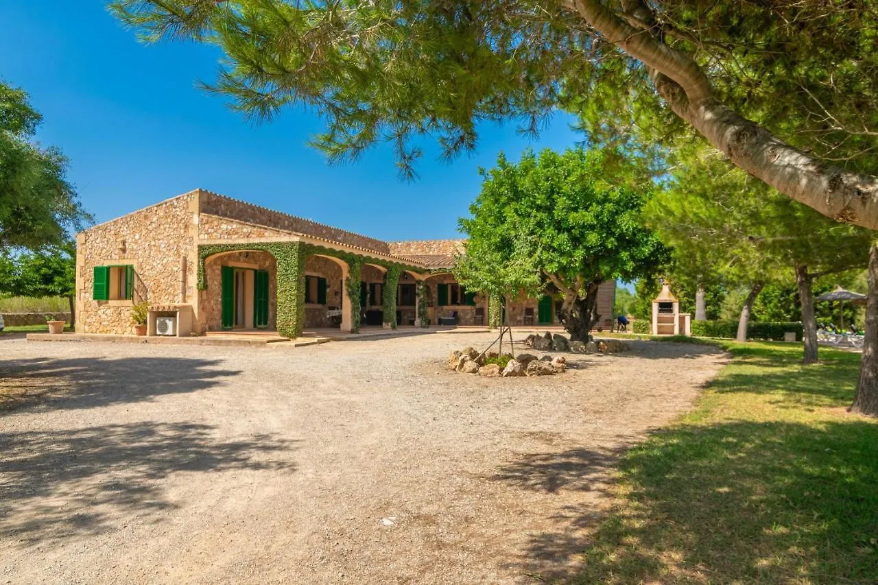 Los Girasoles Campos  Campos (Mallorca)