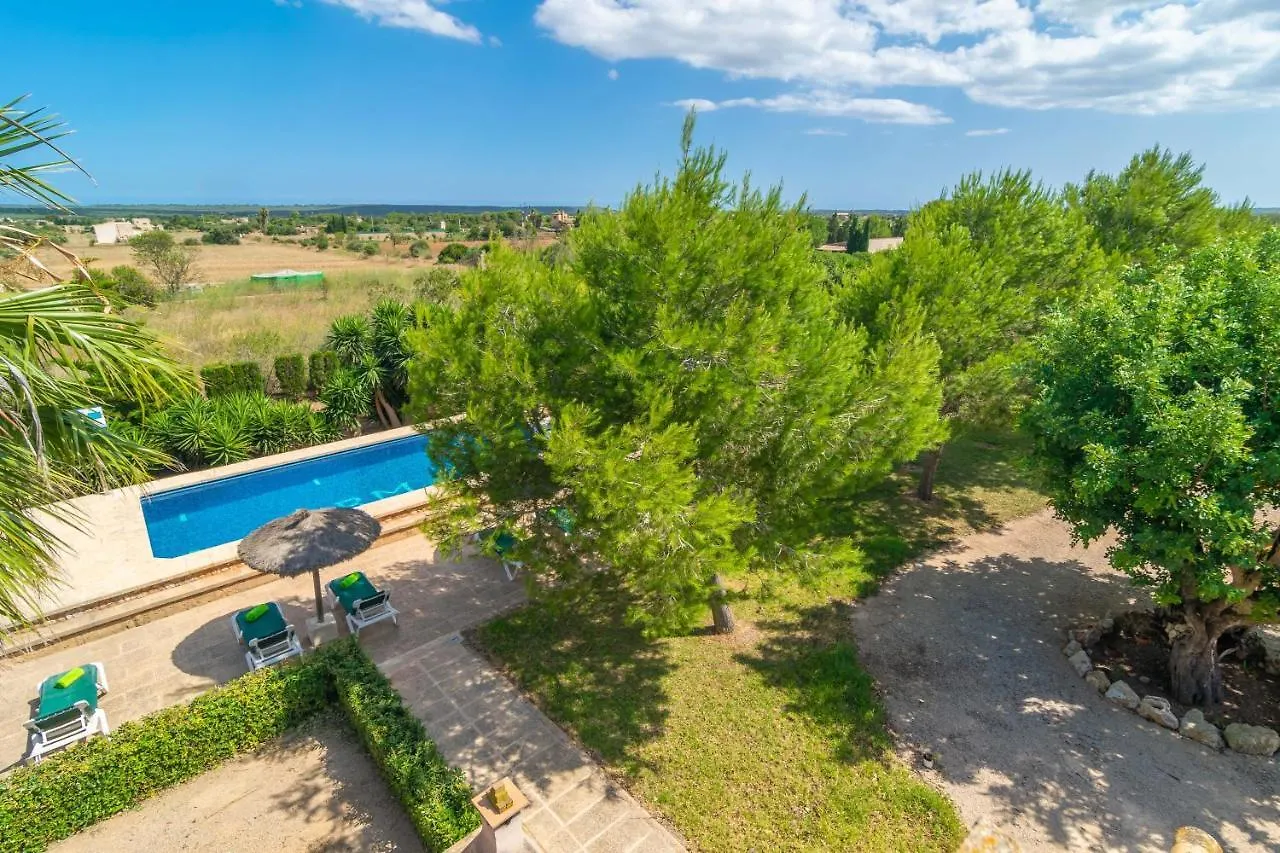 Villa Los Girasoles Campos